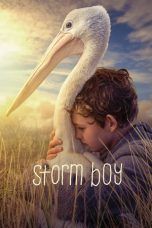 Nonton Streaming Download Drama Storm Boy (2019) jf Subtitle Indonesia