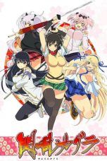 Nonton Streaming Download Drama Senran Kagura (2013) Subtitle Indonesia