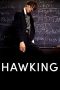 Nonton Streaming Download Drama Hawking (2004) jf Subtitle Indonesia