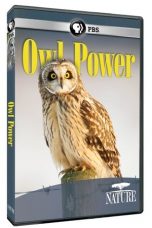 Nonton Streaming Download Drama Owl Power (2015) Subtitle Indonesia