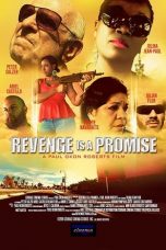 Nonton Streaming Download Drama Revenge is a Promise (2018) Subtitle Indonesia