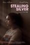 Nonton Streaming Download Drama Stealing Silver (2017) Subtitle Indonesia