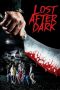 Nonton Streaming Download Drama Lost After Dark (2014) Subtitle Indonesia