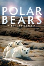 Nonton Streaming Download Drama Polar Bears: A Summer Odyssey (2012) jf Subtitle Indonesia