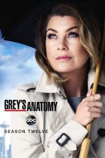 Nonton Streaming Download Drama Grey’s Anatomy Season 12 (2015) Subtitle Indonesia