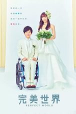 Nonton Streaming Download Drama Perfect World (2019) Subtitle Indonesia