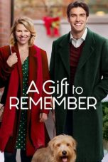 Nonton Streaming Download Drama A Gift to Remember (2017) gt Subtitle Indonesia