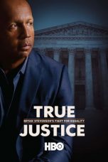 Nonton Streaming Download Drama True Justice: Bryan Stevenson’s Fight for Equality (2019) gt Subtitle Indonesia