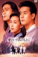 Nonton Streaming Download Drama In the Name of Love (1992) Subtitle Indonesia