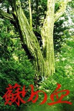 Nonton Streaming Download Drama The Blood of Rebirth (2009) Subtitle Indonesia