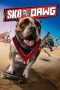 Nonton Streaming Download Drama Sk8 Dawg (2018) Subtitle Indonesia