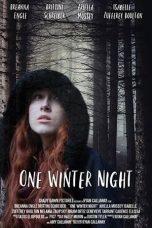 Nonton Streaming Download Drama One Winter Night (2019) Subtitle Indonesia