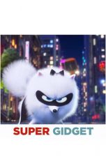 Nonton Streaming Download Drama Super Gidget (2019) jf Subtitle Indonesia