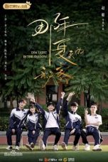 Nonton Streaming Download Drama Dim Light in the Shadow (2020) Subtitle Indonesia