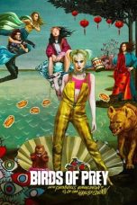 Nonton Streaming Download Drama Nonton Birds of Prey (and the Fantabulous Emancipation of One Harley Quinn) (2020) Sub Indo jf Subtitle Indonesia