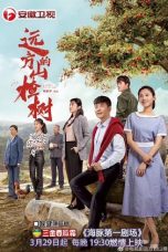 Nonton Streaming Download Drama A Hawthorn Tree Far Away (2020) Subtitle Indonesia