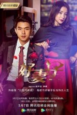 Nonton Streaming Download Drama Good Wife (2020) Subtitle Indonesia