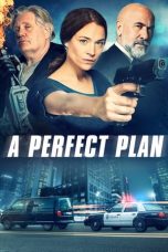 Nonton Streaming Download Drama A Perfect Plan (2020) jf Subtitle Indonesia