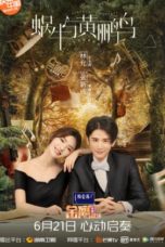 Nonton Streaming Download Drama Symphony’s Romance (2020) Subtitle Indonesia