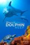 Nonton Streaming Download Drama Nonton Dolphin Reef (2018) Sub Indo jf Subtitle Indonesia