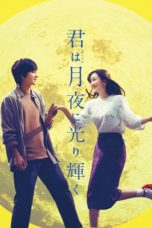 Nonton Streaming Download Drama You Shine in the Moonlight (2019) jf Subtitle Indonesia