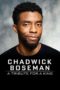 Nonton Streaming Download Drama Nonton Chadwick Boseman:  A Tribute for a King (2020) Sub Indo jf Subtitle Indonesia