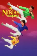 Nonton Streaming Download Drama Nonton 3 Ninjas Kick Back (1994) Sub Indo jf Subtitle Indonesia