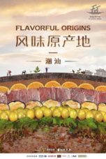 Nonton Streaming Download Drama Nonton Flavorful Origins S03 (2019) Sub Indo Subtitle Indonesia