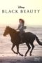 Nonton Streaming Download Drama Nonton Black Beauty (2020) Sub Indo jf Subtitle Indonesia