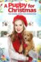 Nonton Streaming Download Drama Nonton A Puppy for Christmas (2016) Sub Indo jf Subtitle Indonesia