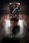 Nonton Streaming Download Drama Nonton Forgotten (2017) Sub Indo gt Subtitle Indonesia