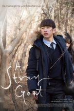 Nonton Streaming Download Drama Nonton A Stray Goat (2017) Sub Indo jf Subtitle Indonesia