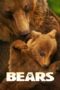 Nonton Streaming Download Drama Nonton Bears (2014) Sub Indo jf Subtitle Indonesia