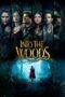 Nonton Streaming Download Drama Nonton Into the Woods (2014) Sub Indo jf Subtitle Indonesia