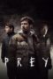 Nonton Streaming Download Drama Nonton Prey (2021) Sub Indo jf Subtitle Indonesia