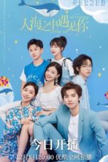 Nonton Streaming Download Drama Nonton Meeting You Loving You (2021) Sub Indo Subtitle Indonesia