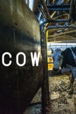 Nonton Streaming Download Drama Nonton Cow (2021) Sub Indo jf Subtitle Indonesia