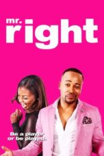 Nonton Streaming Download Drama Nonton Mr. Right (2015) Sub Indo jf Subtitle Indonesia