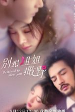 Nonton Streaming Download Drama Nonton Destined to Meet You (2022) Sub Indo Subtitle Indonesia