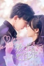 Nonton Streaming Download Drama Nonton Love Destiny (2022) Sub Indo Subtitle Indonesia