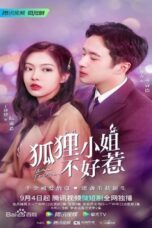 Nonton Streaming Download Drama Nonton Miss Fox (2022) Sub Indo Subtitle Indonesia