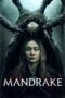 Nonton Streaming Download Drama Nonton Mandrake (2022) Sub Indo jf Subtitle Indonesia