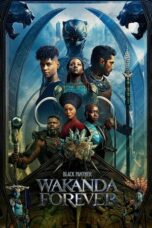 Nonton Streaming Download Drama Nonton Black Panther: Wakanda Forever (2022) Sub Indo jf Subtitle Indonesia