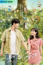 Nonton Streaming Download Drama Nonton Summer In Love (2023) Sub Indo Subtitle Indonesia