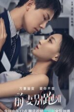 Nonton Streaming Download Drama Nonton Ex-Wife Stop S02 (2023) Sub Indo Subtitle Indonesia