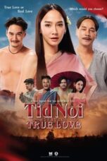 Nonton Streaming Download Drama Nonton Tid Noi: More Than True Love (2023) Sub Indo jf Subtitle Indonesia