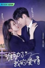 Nonton Streaming Download Drama Nonton Love Starts After Divorce (2023) Sub Indo Subtitle Indonesia