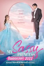 Nonton Streaming Download Drama Nonton My Sassy Princess: Cinderella (2022) Sub Indo Subtitle Indonesia