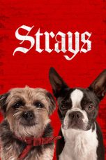 Nonton Streaming Download Drama Nonton Strays (2023) Sub Indo jf Subtitle Indonesia