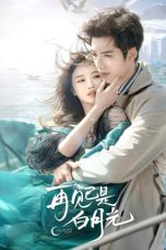 Nonton Streaming Download Drama Nonton Fall in Love Again (2024) Sub Indo Subtitle Indonesia